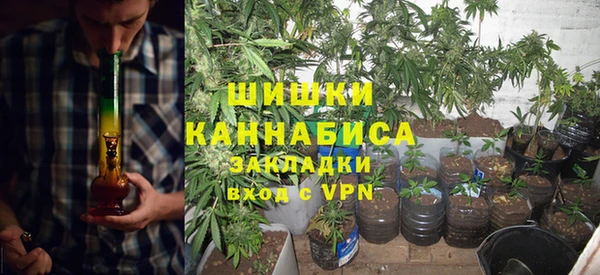 стафф Сосновоборск