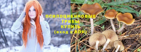 прущая мука Балахна
